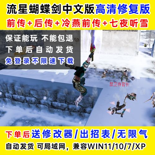 流星蝴蝶剑后传无限气汉化版游戏截图