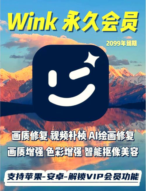 wink解锁版会员2099到期游戏截图