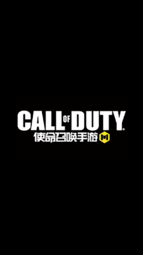 codm美化包升级版游戏截图