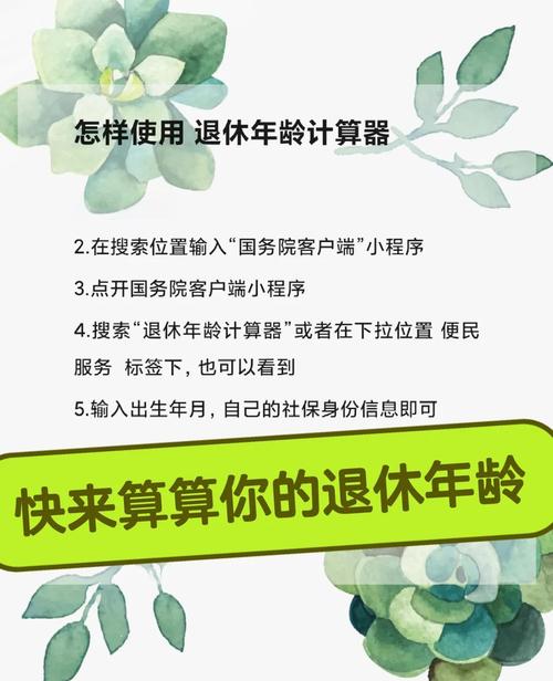 退休计算器2025最新版缩略图
