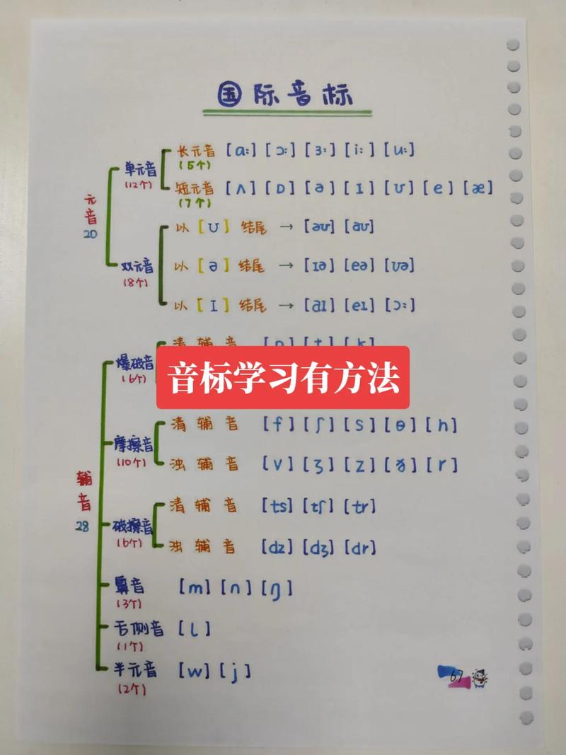 三年级的音标怎么读视频教程缩略图