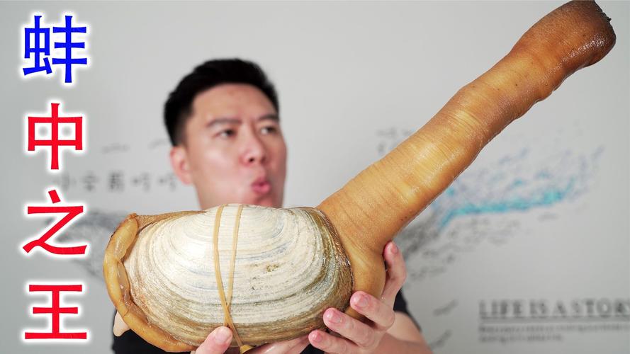 象拔蚌视频缩略图