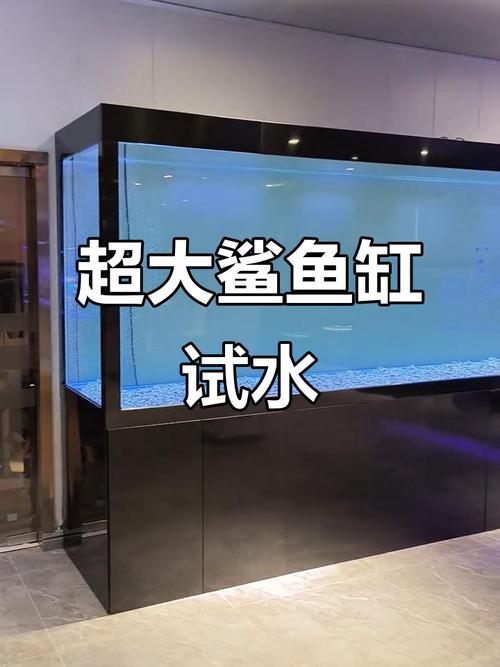 鲨鱼鱼缸图片真实大全缩略图