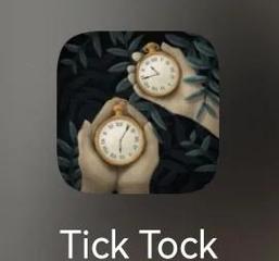 ticktock官网入口精简版缩略图