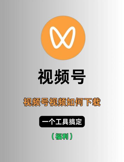 tv助手安装游戏截图