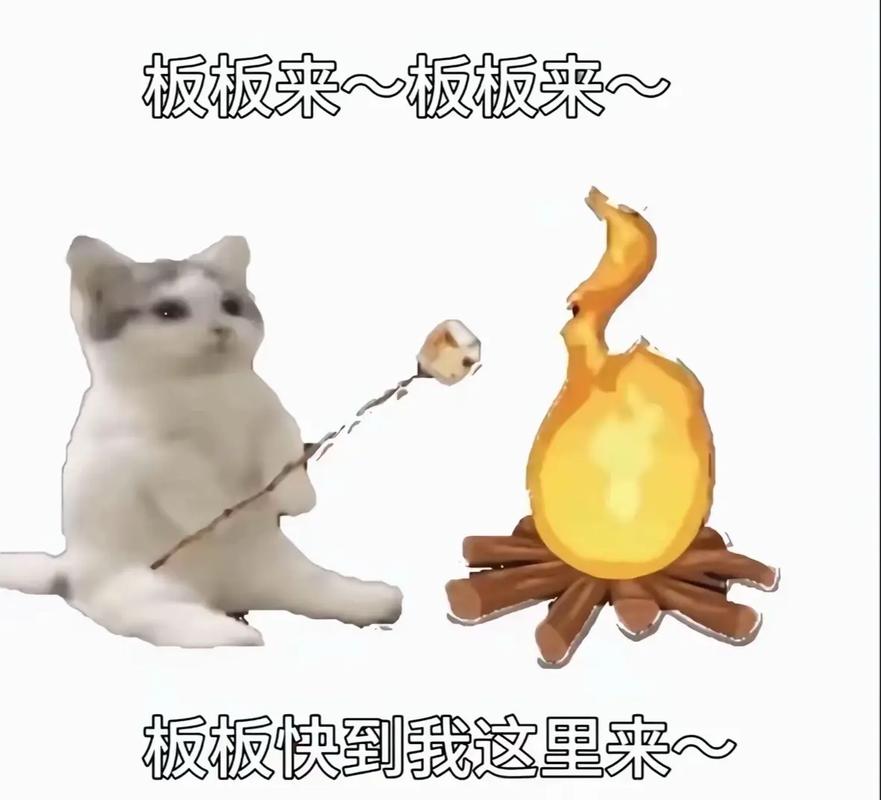 小懒猫光遇自动跑图ios缩略图