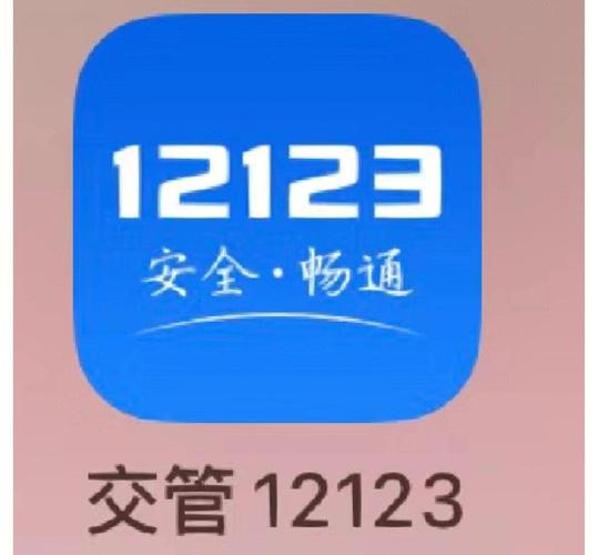 交管12123安装最新版游戏截图