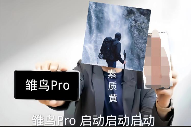 雏鸟pro最新破解缩略图