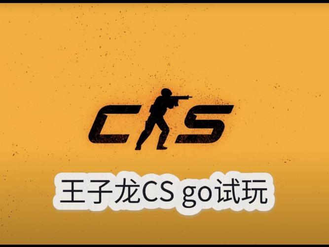 王子龙自制CSGO缩略图