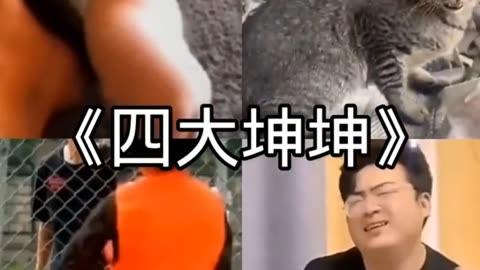 王者男英雄大坤吧图片图标