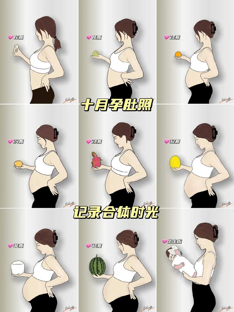 怀孕的人的肚子变化图片大全视频缩略图