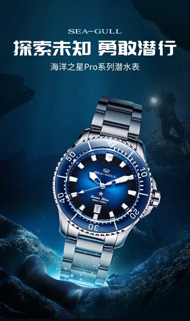 海鸥海洋之星缩略图