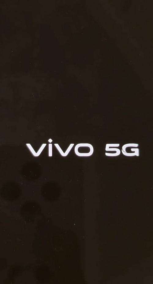 vivo手机开机卡在logo画面游戏截图