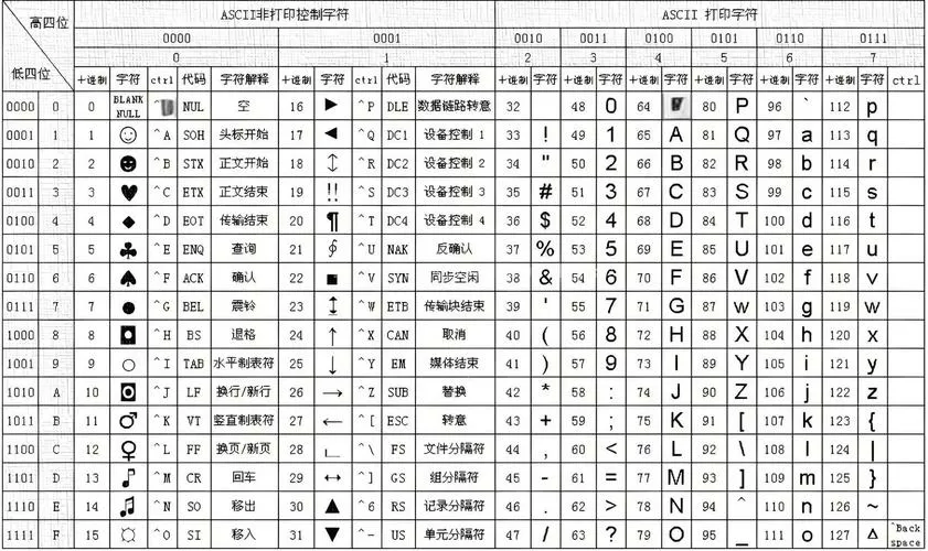 编码类型有哪几种缩略图