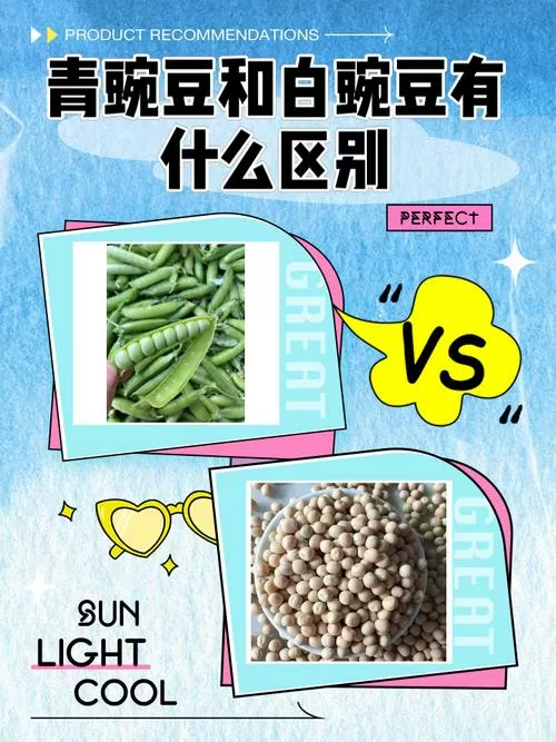 白豌豆与绿豌豆的区别缩略图