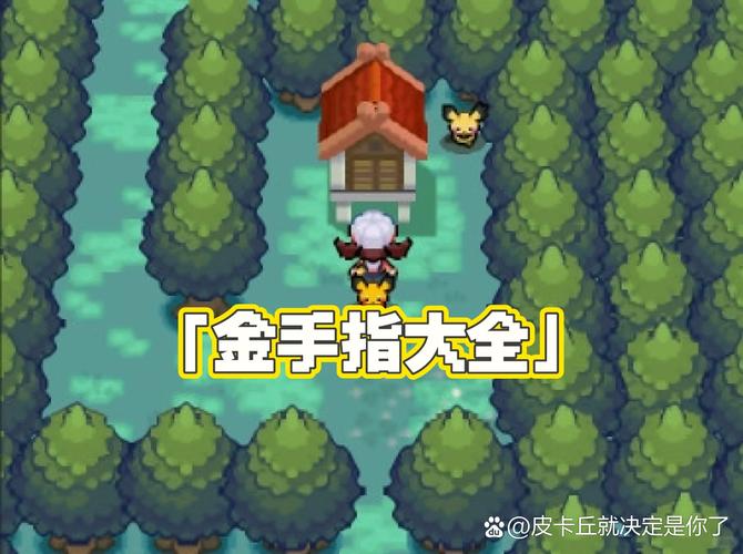 口袋妖怪金银内置金手指缩略图