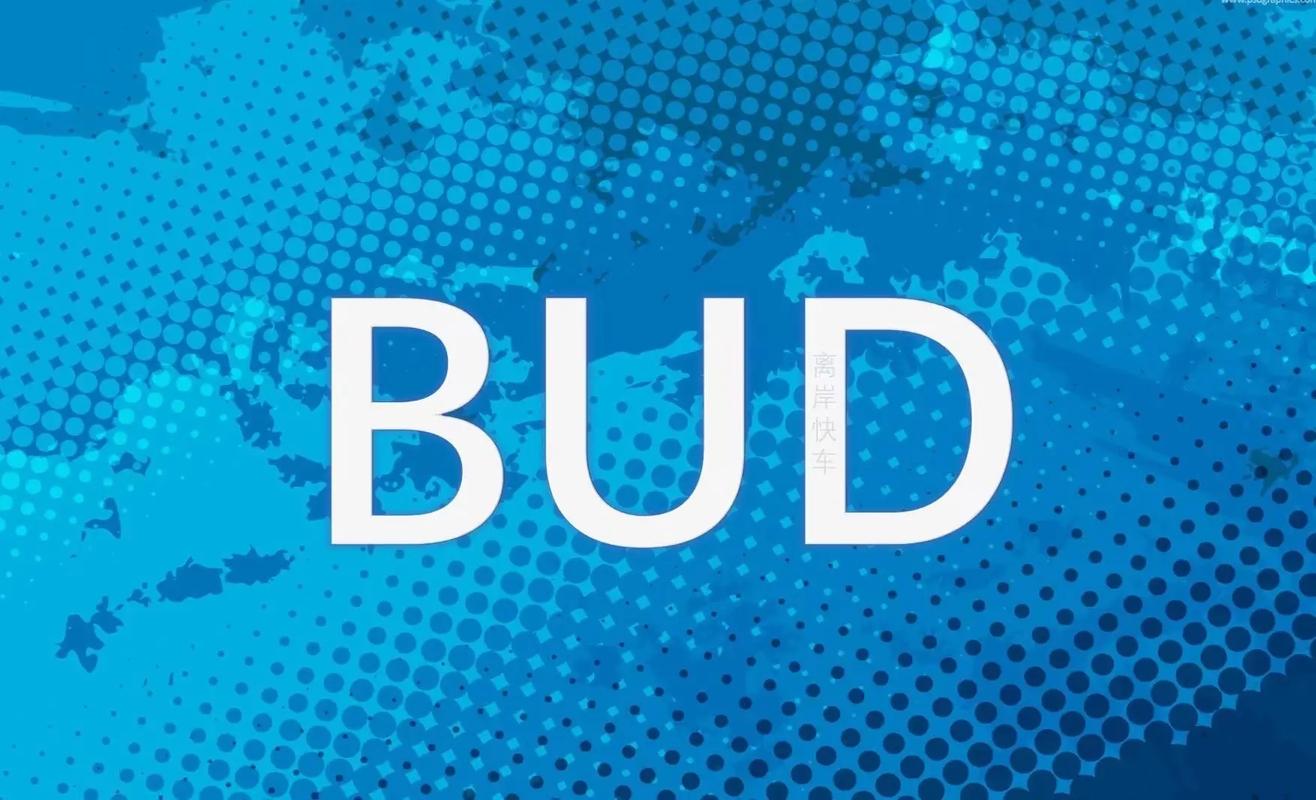 bud官方正版缩略图