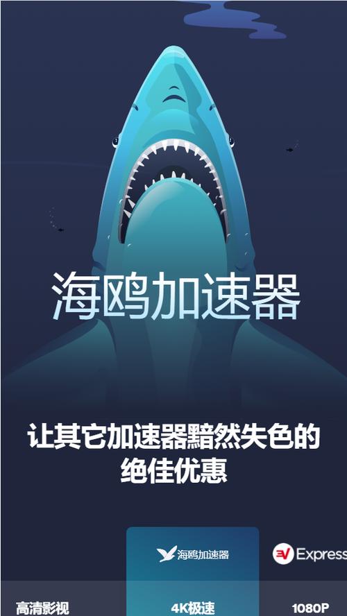 SEAGULL海鸥加速器(海鸥加速器)缩略图