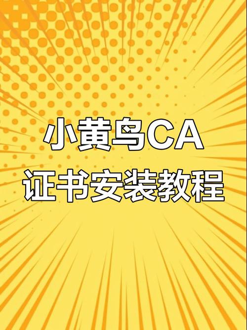 黄鸟ca证书下载安装流程缩略图