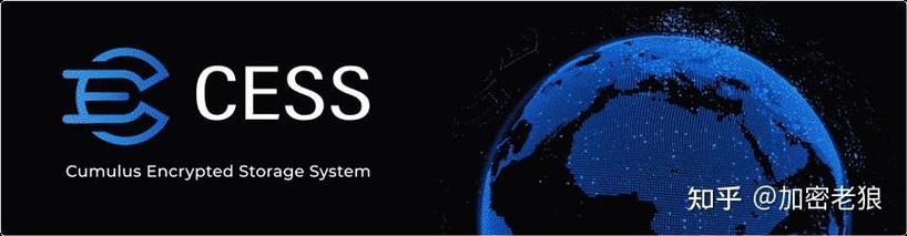 alphanetwork最新消息加速永久破解版永久免费游戏截图