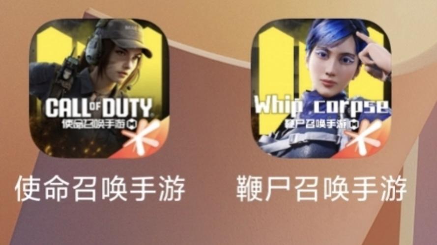 灰灰codm美化包破解版缩略图