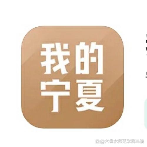 我的宁夏免费安装游戏截图