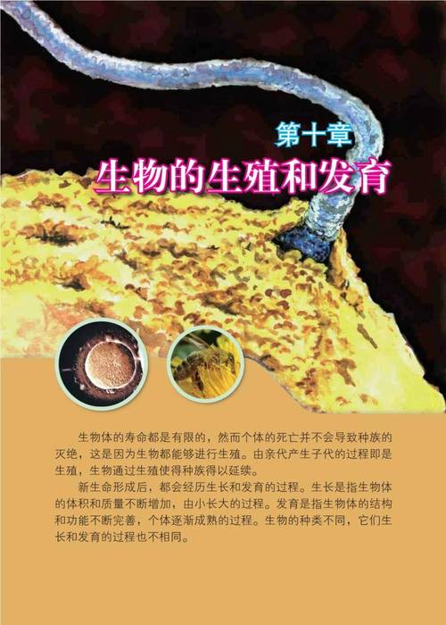 共同发育最新版本更新内容介绍手机版游戏截图