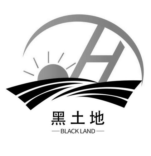 552448jm黑土无广告版缩略图