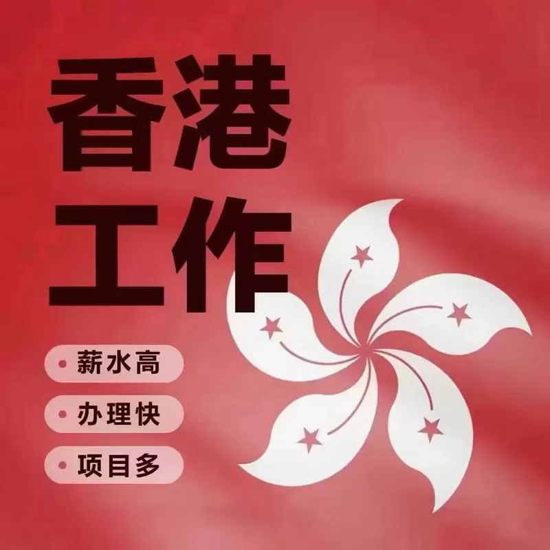 香港it招聘网站游戏截图