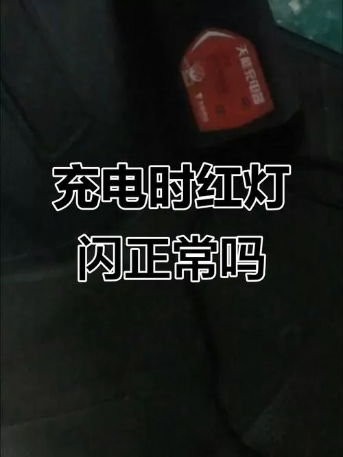 电动车充电器两个红灯一直闪烁缩略图
