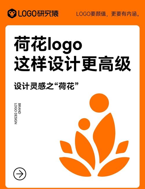 荷花网转发赚钱缩略图