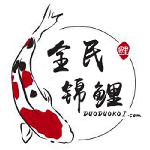 全民养锦鲤游戏截图
