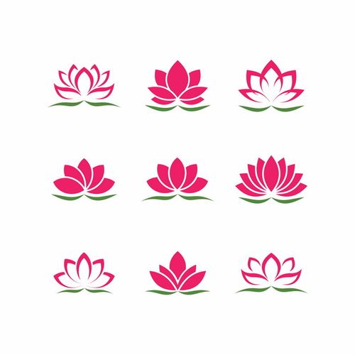 荷花视频app缩略图
