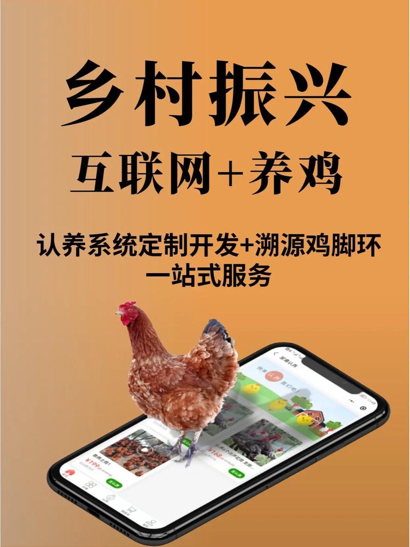 云养鸡养殖赚钱缩略图