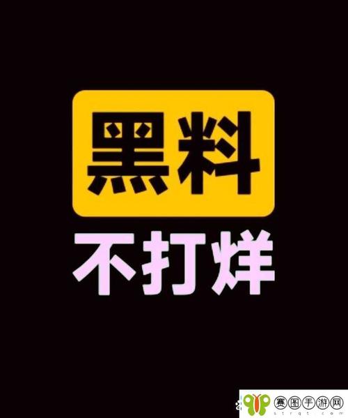 黑料不打烊正版缩略图