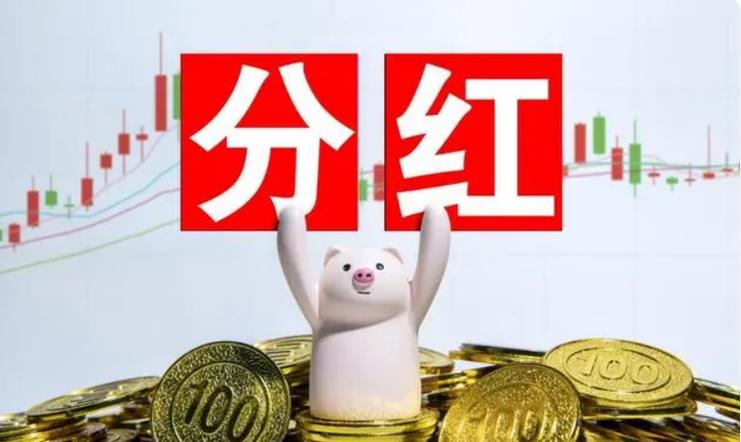 猪猪分红官网版缩略图