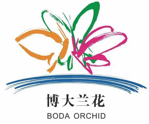 蝴蝶兰赚钱缩略图