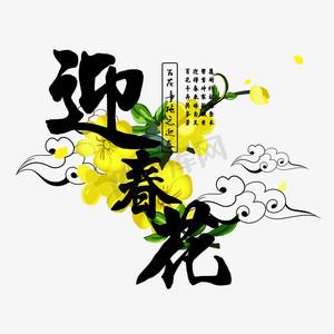 迎春花转发赚钱缩略图