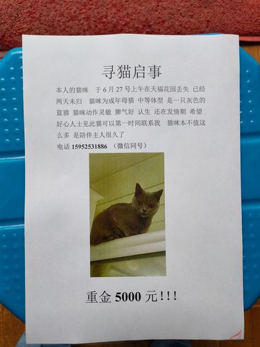 赏赚猫悬赏游戏截图
