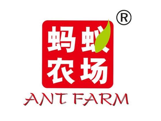 沙蚂蚁农场缩略图