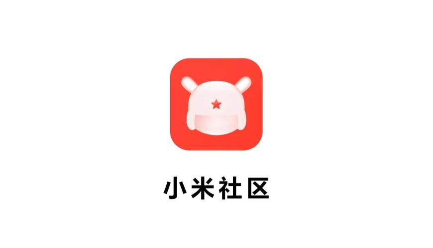 小米社区开发版公游戏截图