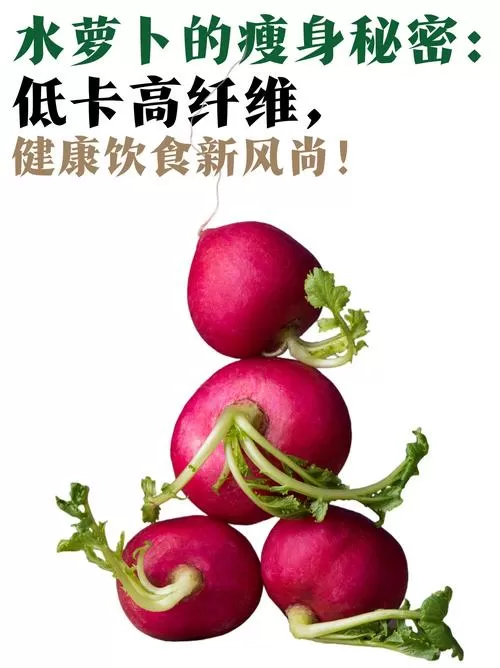 减肥能吃水萝卜吗缩略图