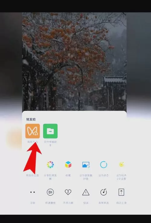空间相册的视频怎么保存到手机相册缩略图
