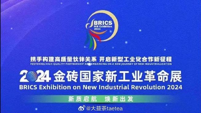 金砖弱网2024下载缩略图