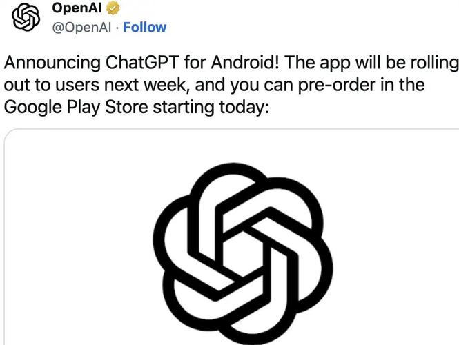 ChatGPT安卓官方版游戏截图