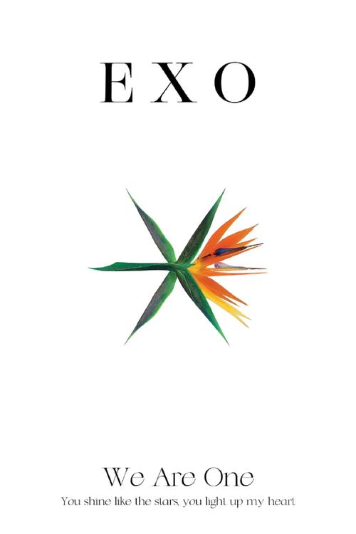 口袋exo手机版缩略图