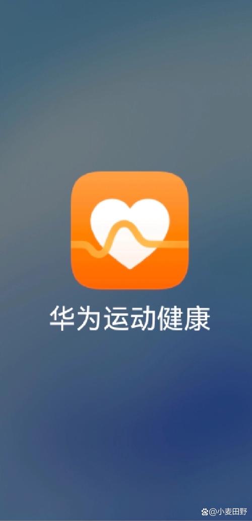 华为运动健康官方版华为运动健康APP游戏截图