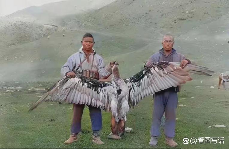 捕猎者游戏截图