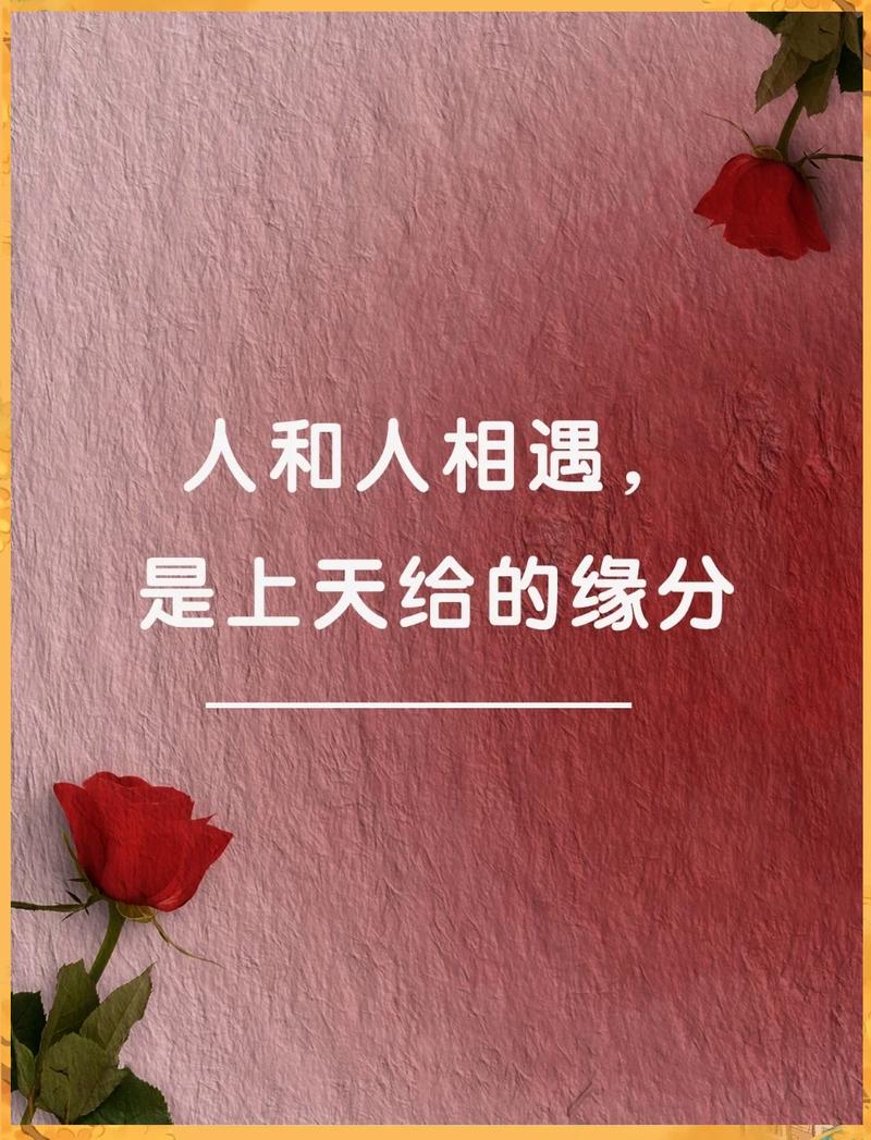 相遇之缘缩略图