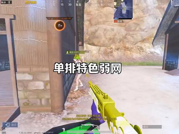 和平精英弱网软件和平精英弱网科技 (QNE缩略图